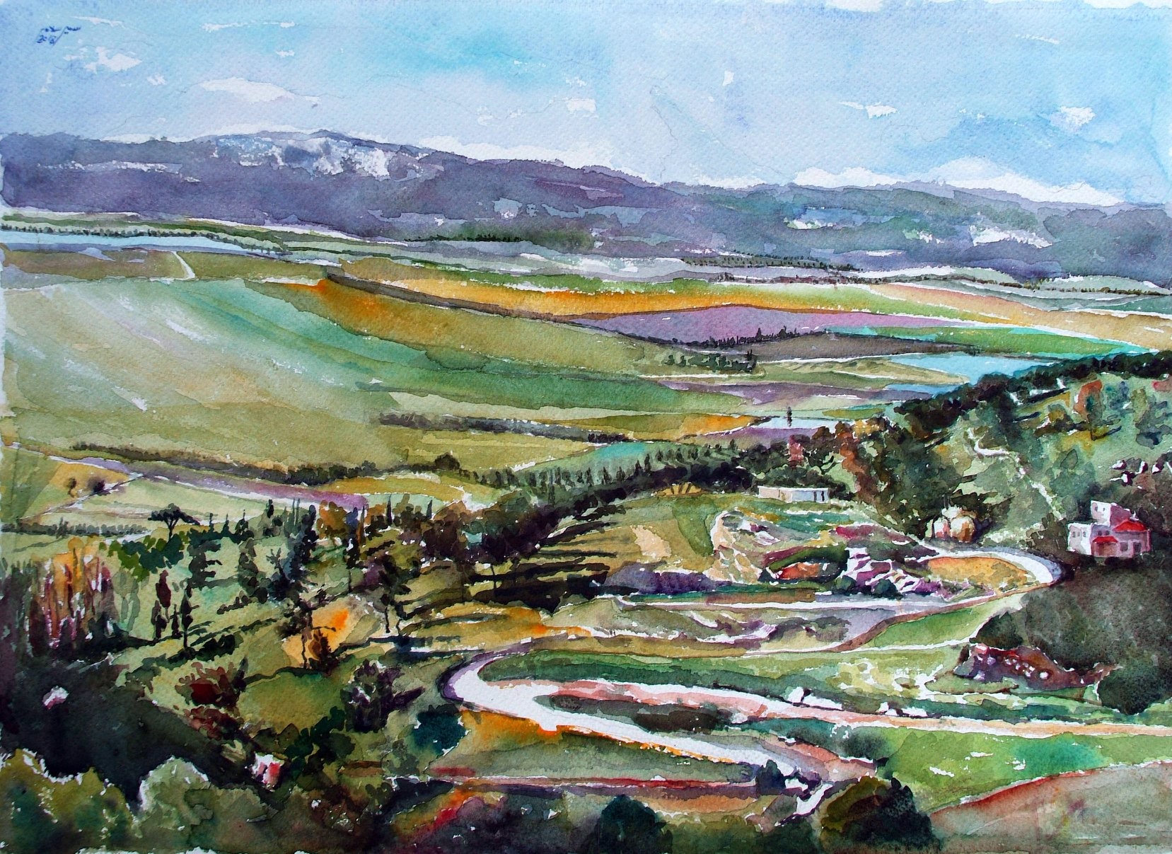 <div>
			<div>
				<div>Watercolour on Paper, 50 x 70 cm, 2018.
Price: $3200&nbsp;
				</div>
			</div>
		</div>